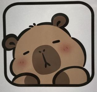 双饼的个人空间