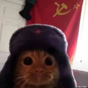King.的钢琴谱