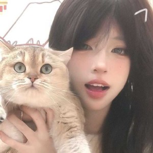 那年冬说爱我的钢琴谱
