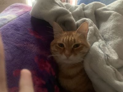 186****3293的个人空间