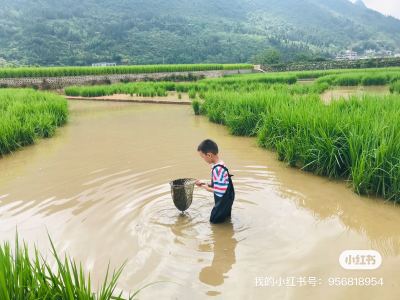 徐小豆的钢琴谱