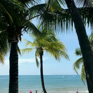 夏夜最后的烟火的演奏视频