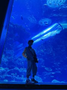 Fly Me to the Moon的演奏视频