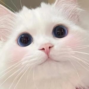 笑嘻嘻的钢琴谱