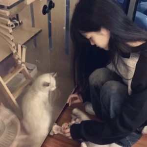 挚爱宇.的钢琴谱