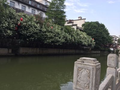 155****9755的钢琴谱