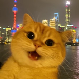 咩的个人空间