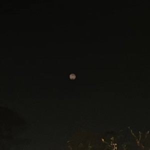 一场雨的钢琴谱