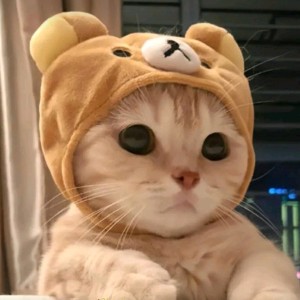 心中的那个她的钢琴谱