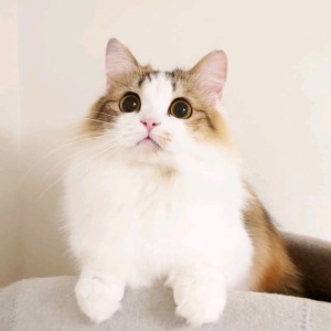 晓星的个人空间