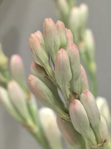 曦棠的个人空间