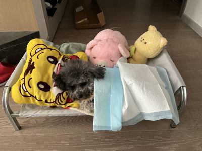 181****1199的钢琴谱