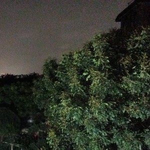 亦欣的钢琴谱