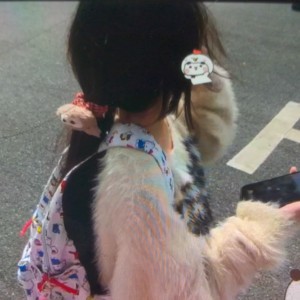 追风逐日的钢琴谱