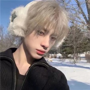 辞少的钢琴谱