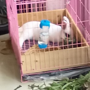 陈敬廷的个人空间