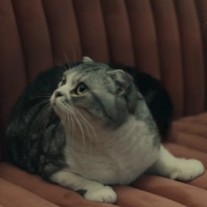 白榆·云川的个人空间