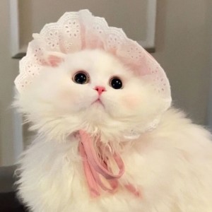 (⊙。⊙)的个人空间