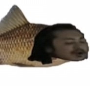 太阳照在爱人们身上的钢琴谱