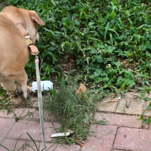 178****9242的钢琴谱