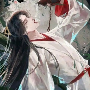 的演奏视频