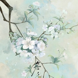 梨花谢了的钢琴谱