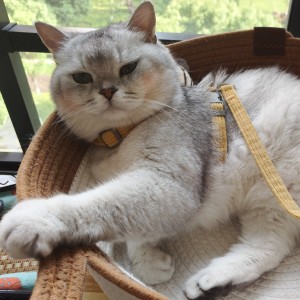 枫贖的个人空间