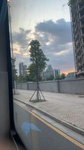 庄周梦蝶的钢琴谱