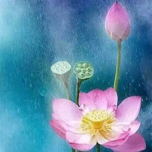 涵寶和玥寶的個(gè)人空間