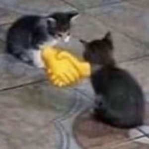 Izum1红茶☕️的钢琴谱