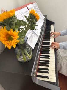 七里香的演奏视频