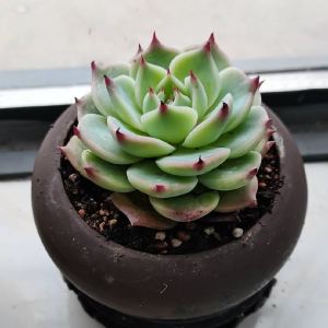 木南的钢琴谱