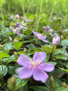 135****2072的个人空间