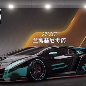 兰博基尼毒药的个人空间