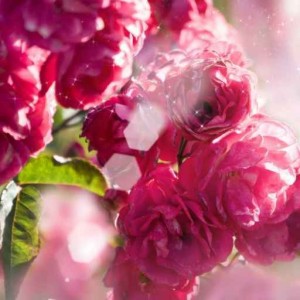 简简的个人空间