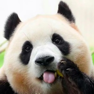 138****5732的个人空间