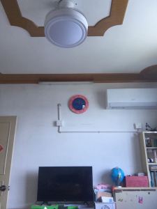 丙丙的钢琴谱