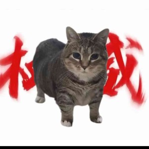 夏的个人空间