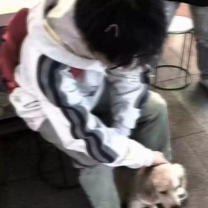 訶#的钢琴谱