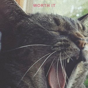 大梦想家的个人空间