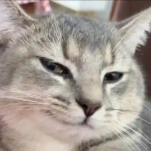 破旧世界的演奏视频