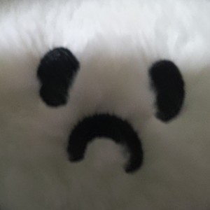 的演奏视频