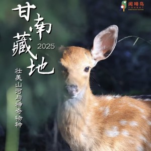 小龙🐉的钢琴谱