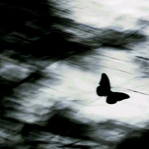 初秋的夜的个人空间