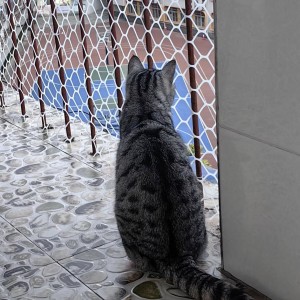 Daisy?的个人空间