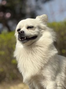 小资的个人空间