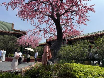 大宝的个人空间