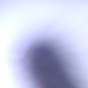 的演奏视频