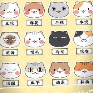 瓜子的钢琴谱