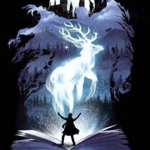 159****1811的个人空间